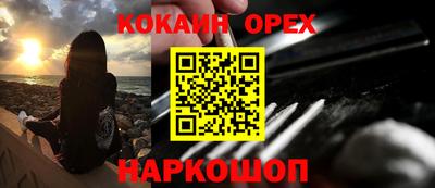 крисы Донской