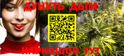 стаф Донецк