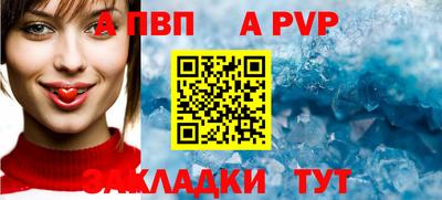 крисы Донской