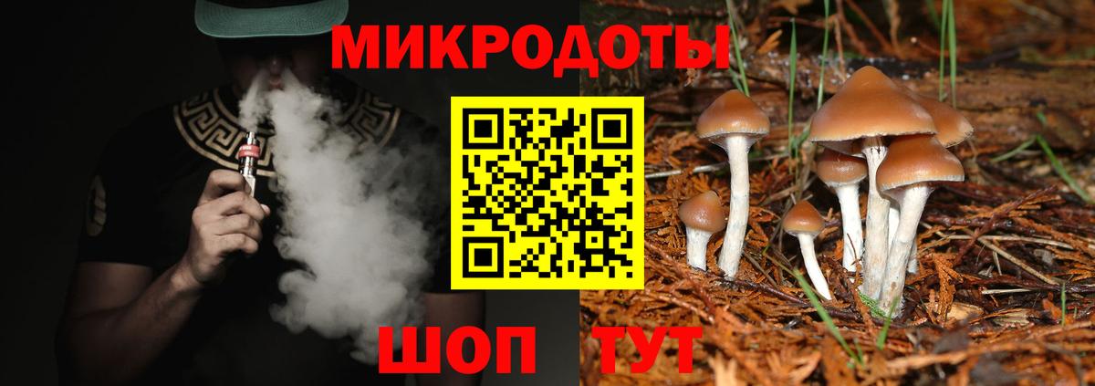 Ликино-Дулёво  Псилоцибиновые грибы мицелий  Вход с VPN 
