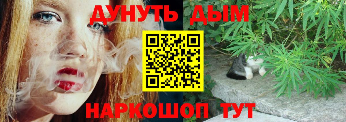 Канабис планчик Ликино-Дулёво